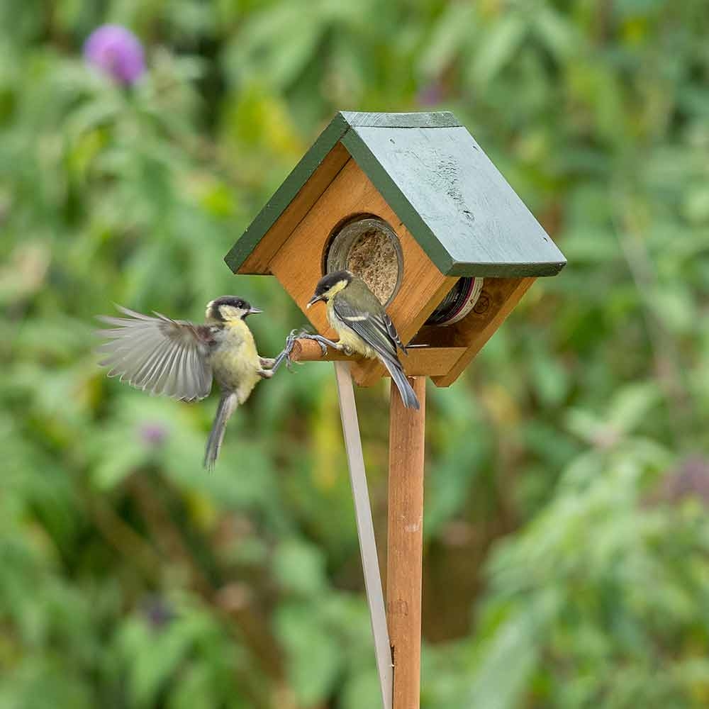 Cork Peanut Butter Pole Feeder