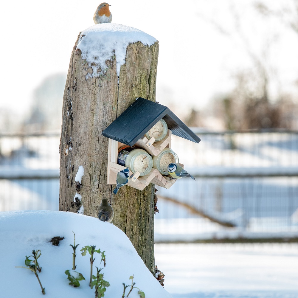 Westport Triple Peanut Butter Feeder