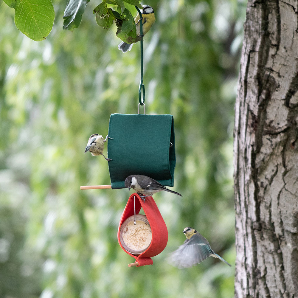 Malibu Peanut Butter Jar Bird Feeder