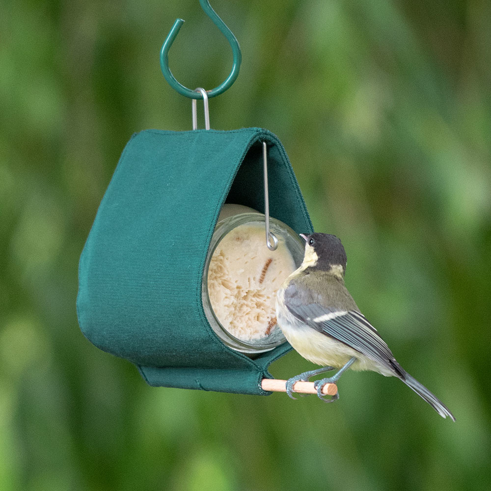 Malibu Peanut Butter Jar Bird Feeder