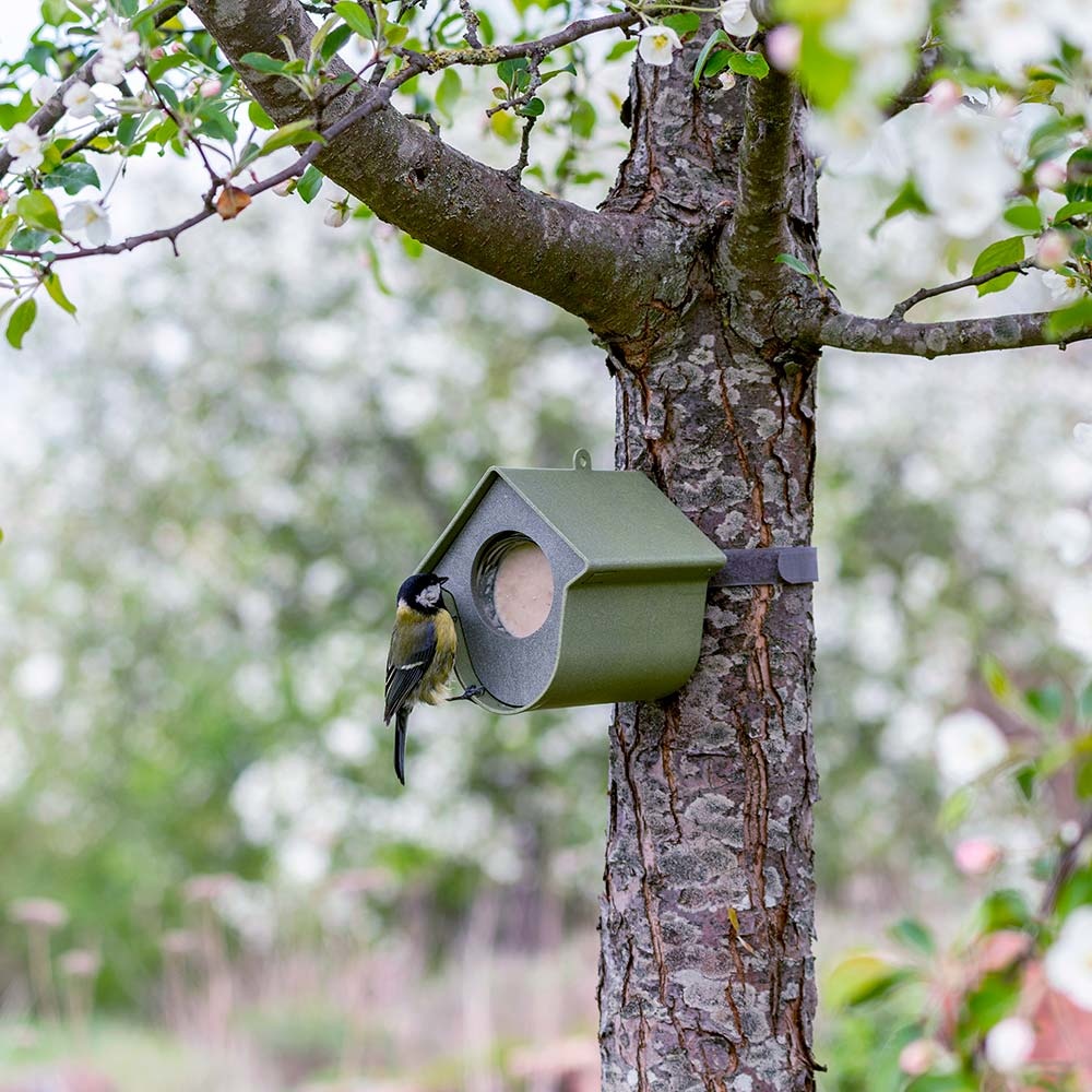 Evie Peanut Butter Feeder for Birds - 100% recycled