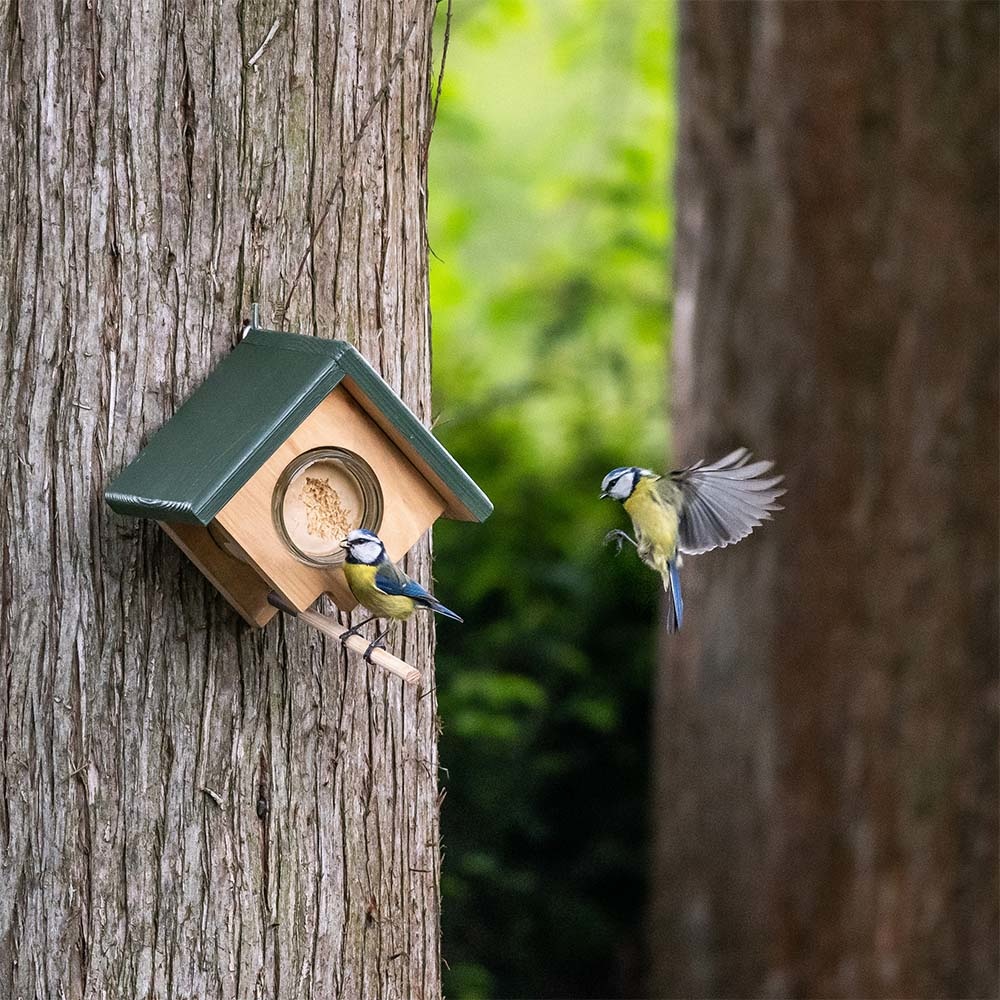 Cork Peanut Butter Wall Feeder