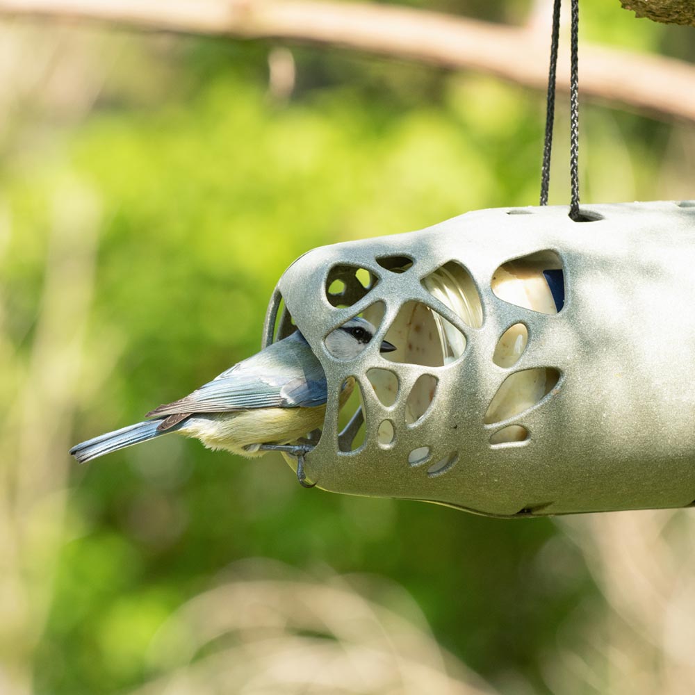 Esmee Peanut Butter Feeder