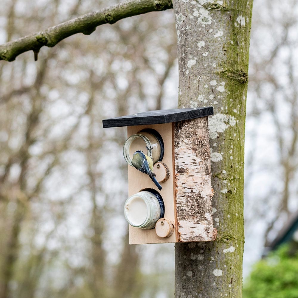 Quebec Double Peanut Butter Bird Feeder