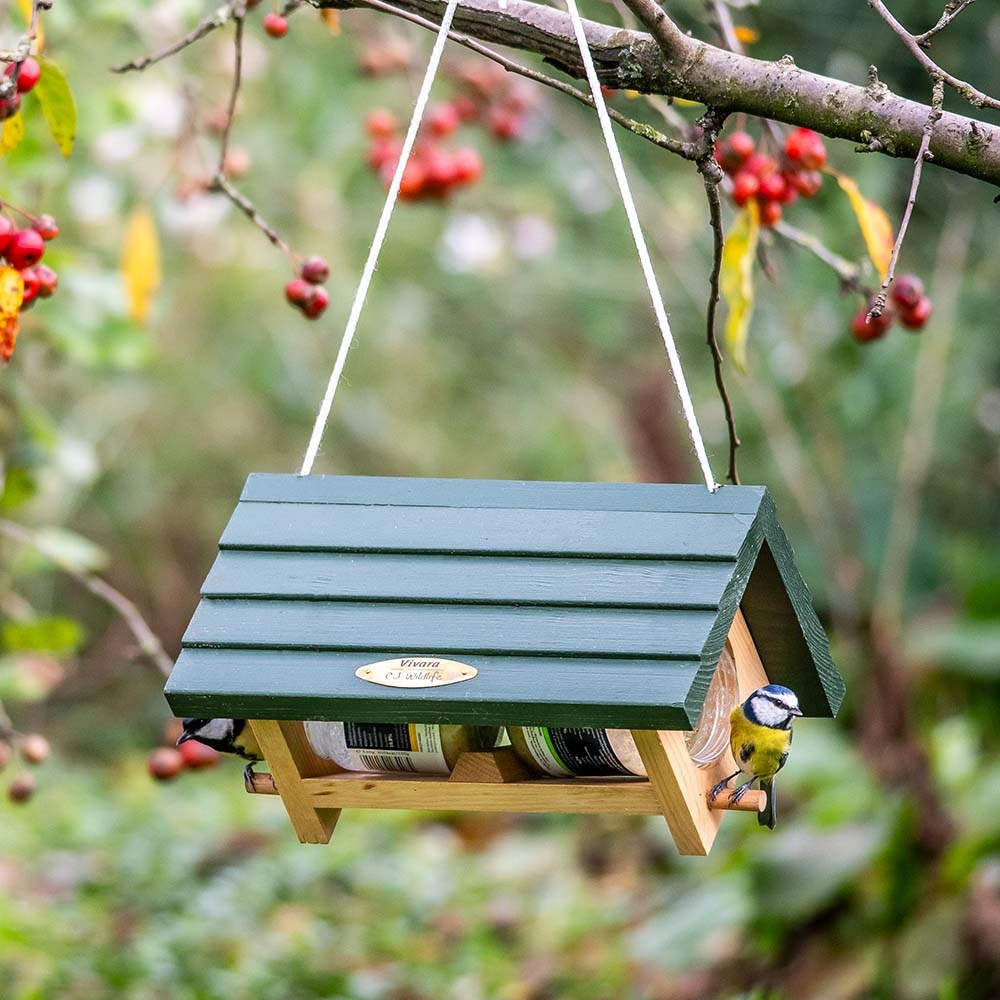 Lifford Hanging Double Peanut Butter Feeder