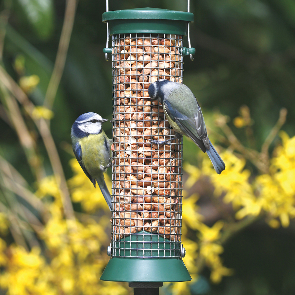 Small Challenger Peanut Bird Feeder