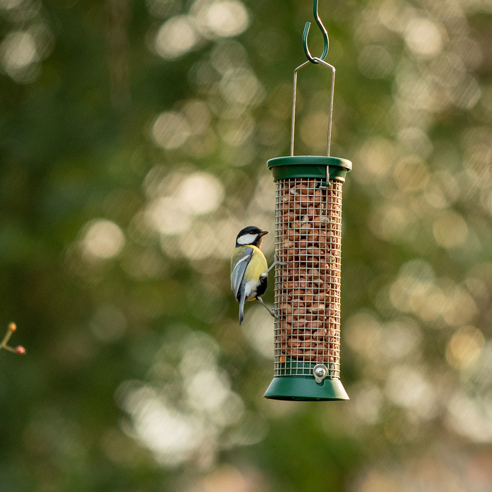 Small Challenger Peanut Bird Feeder