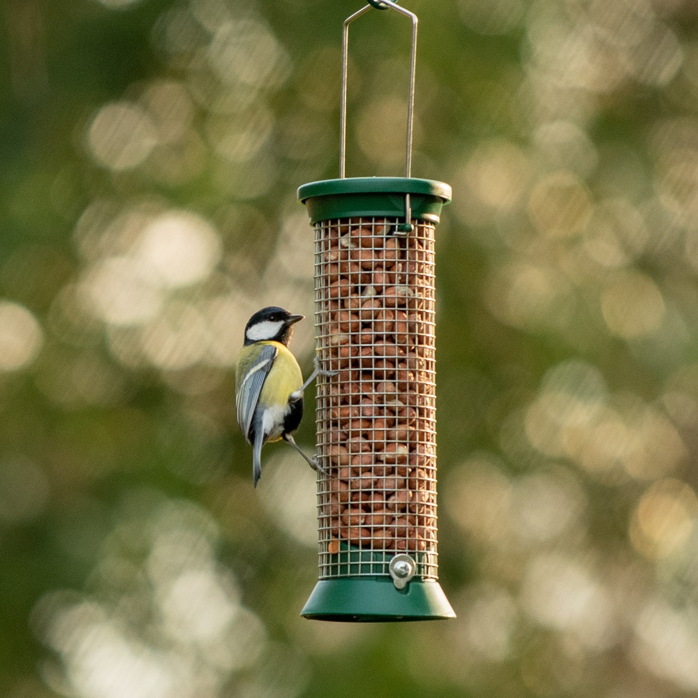 National Trust Challenger Small Plastic Peanut Feeder