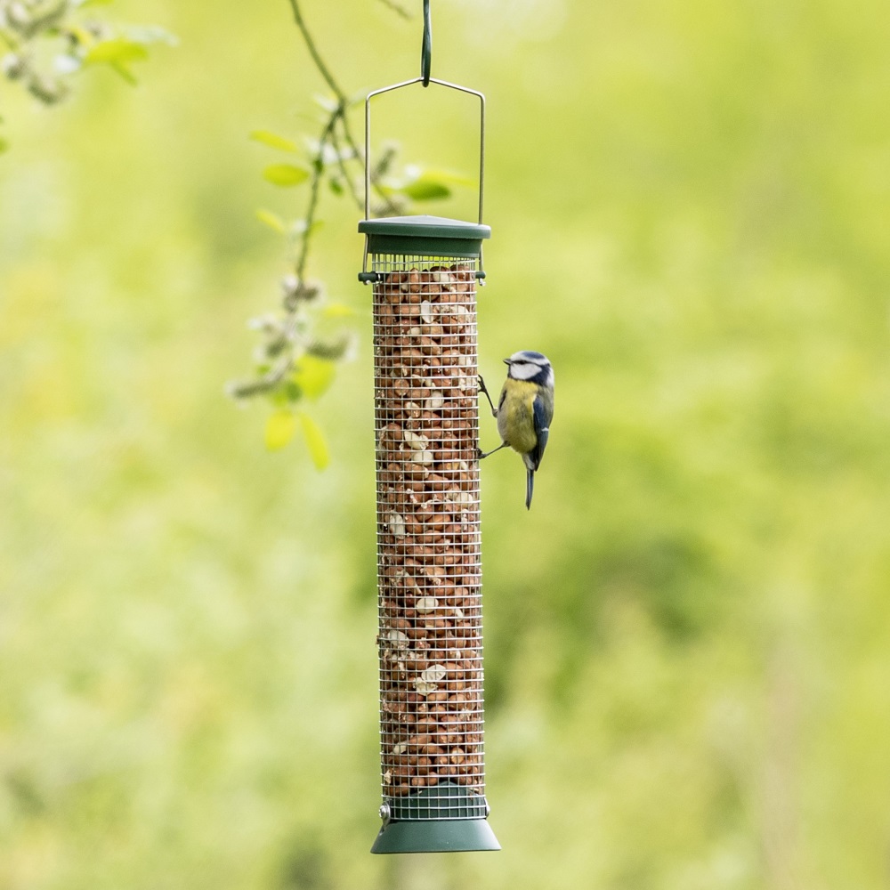 Challenger Medium Peanut Feeder