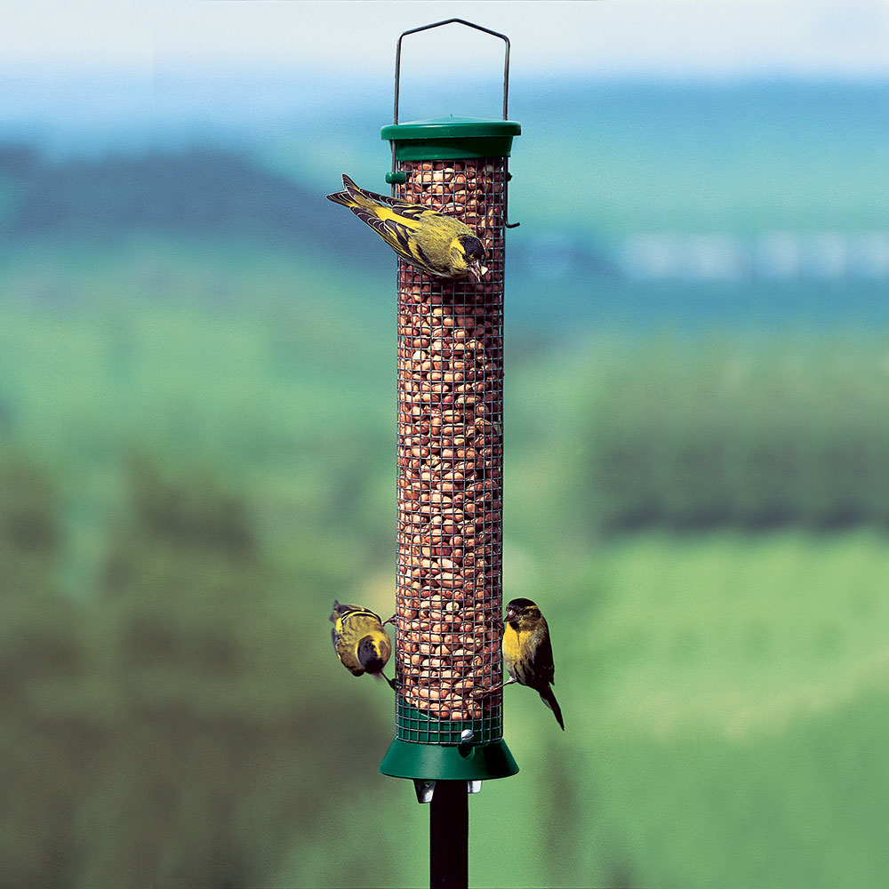 Challenger Medium Peanut Feeder