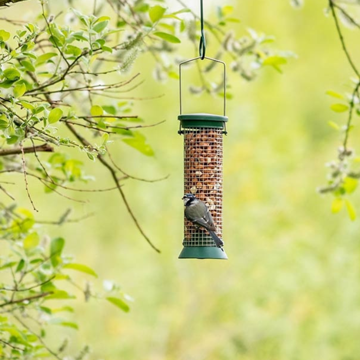 Challenger Medium Peanut Feeder