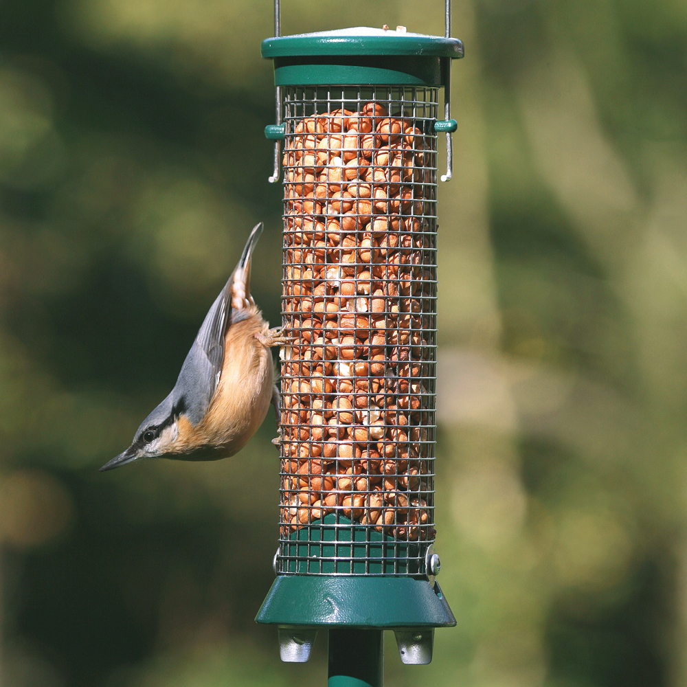 National Trust Metal Peanut Bird Feeder Defender