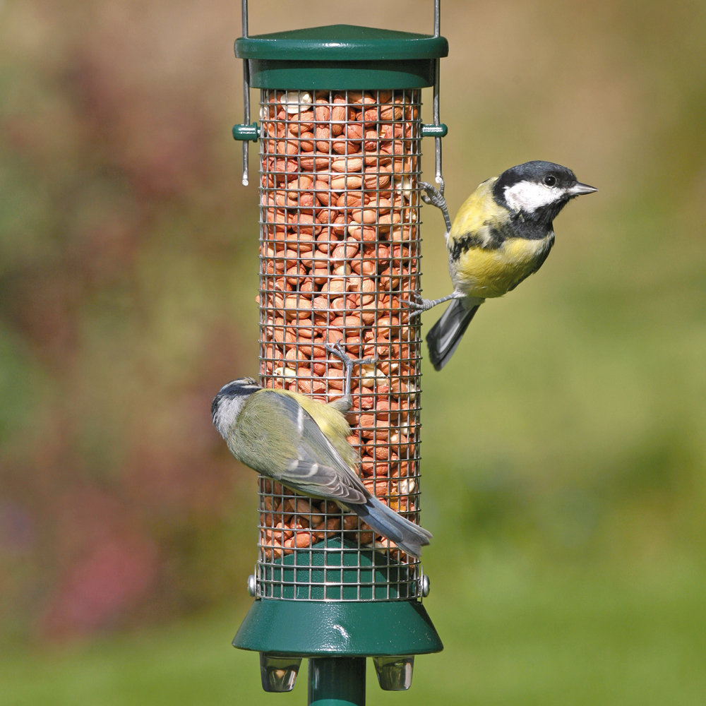 National Trust Metal Peanut Bird Feeder Defender