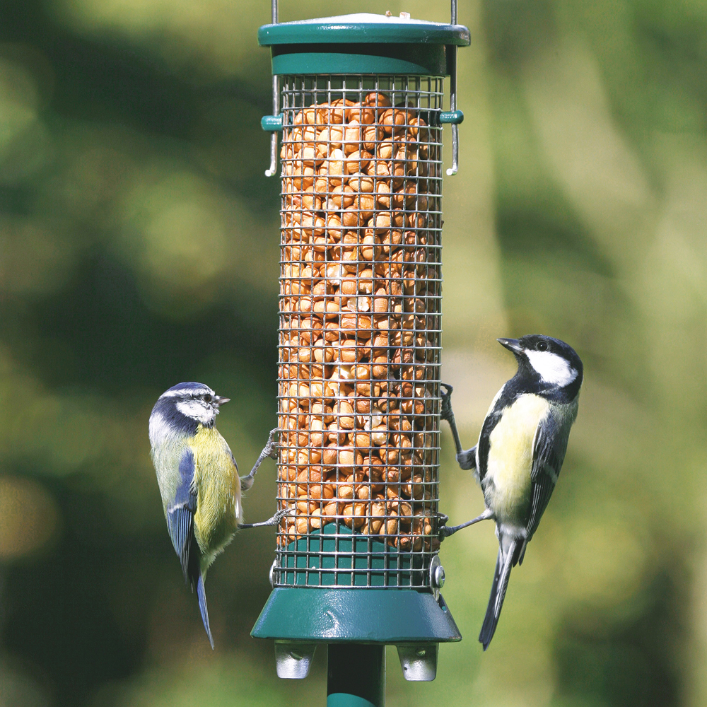 National Trust Metal Peanut Bird Feeder Defender