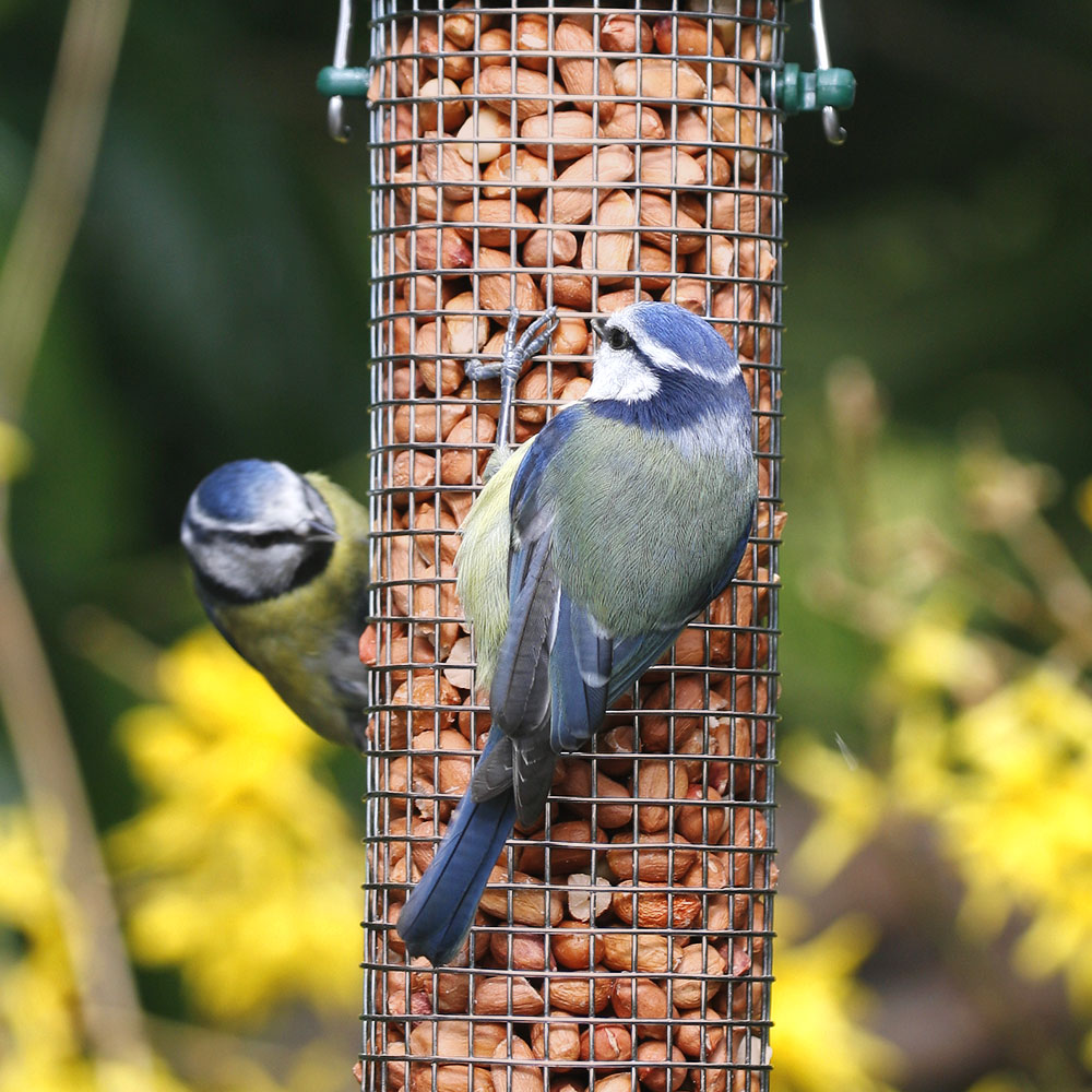 National Trust Defender Large Metal Peanut Feeder