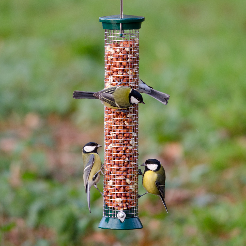 National Trust Defender Large Metal Peanut Feeder