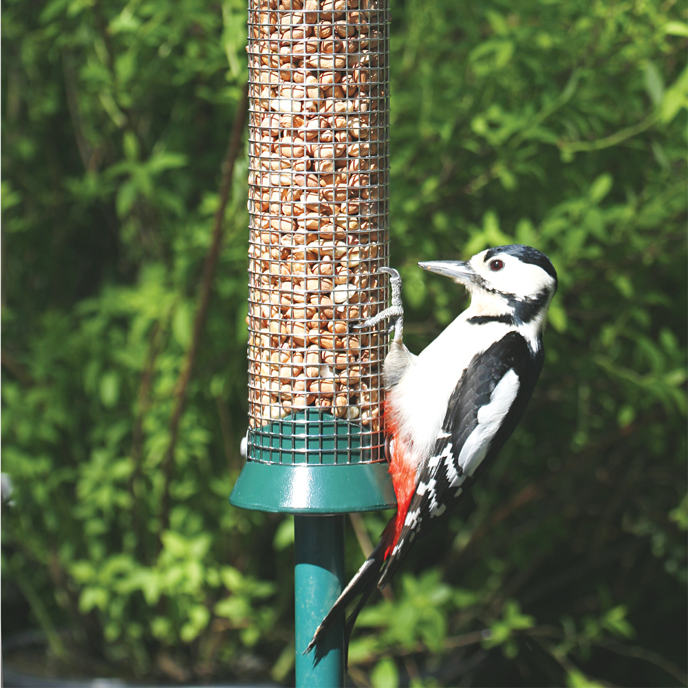 National Trust Defender Large Metal Peanut Feeder