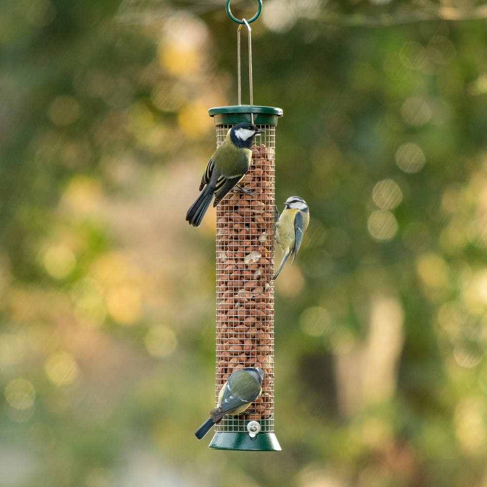 National Trust Defender Large Metal Peanut Feeder