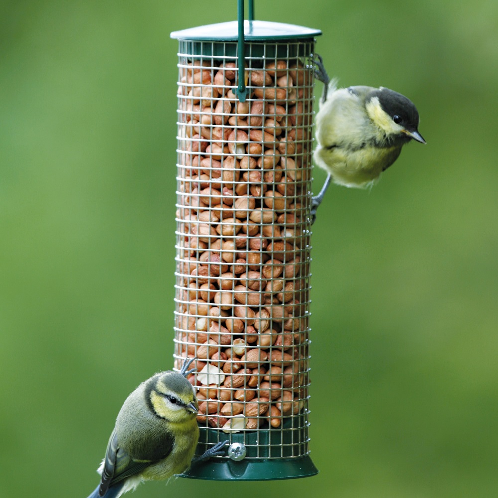 Discovery Plastic Hanging Peanut Bird Feeder