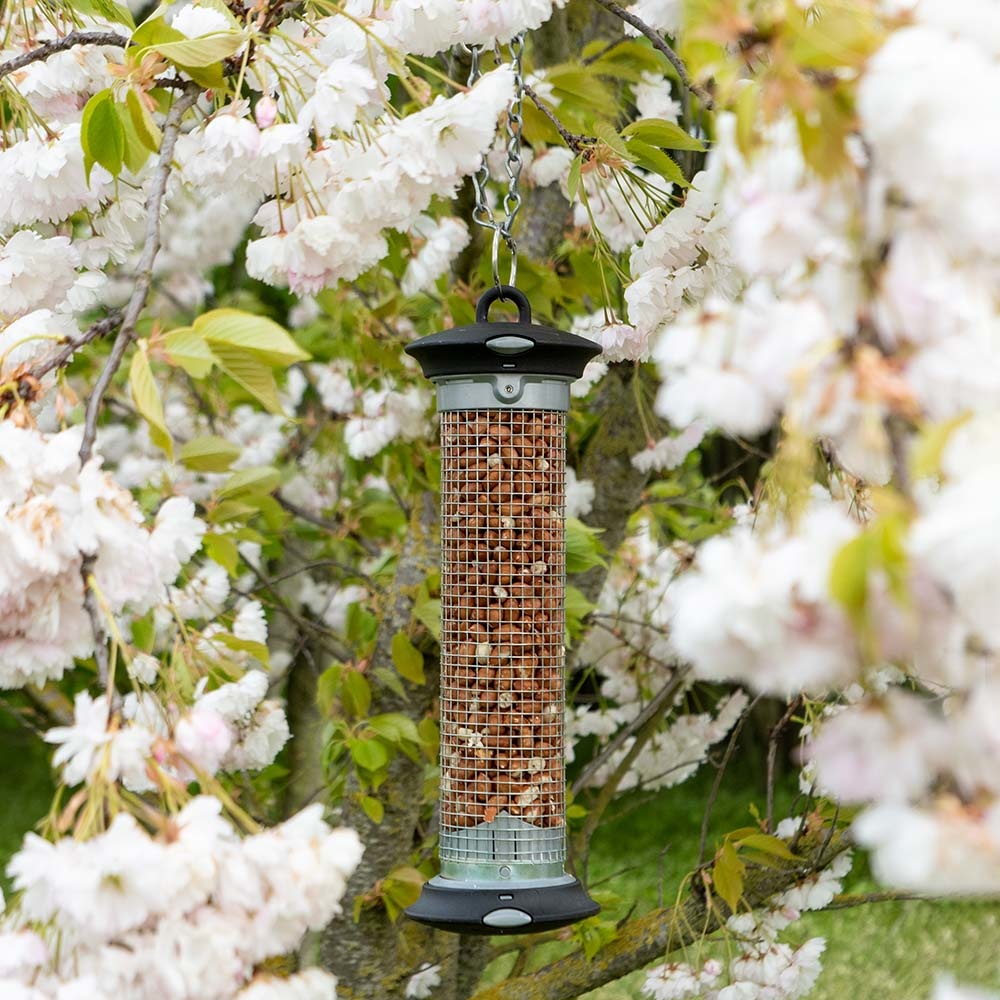 Apollo Peanut Bird Feeder