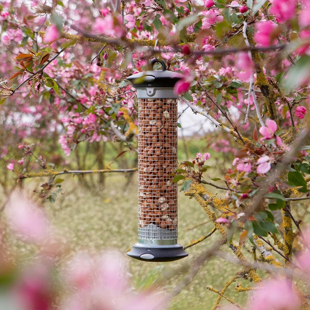 National Trust Apollo Peanut Feeder