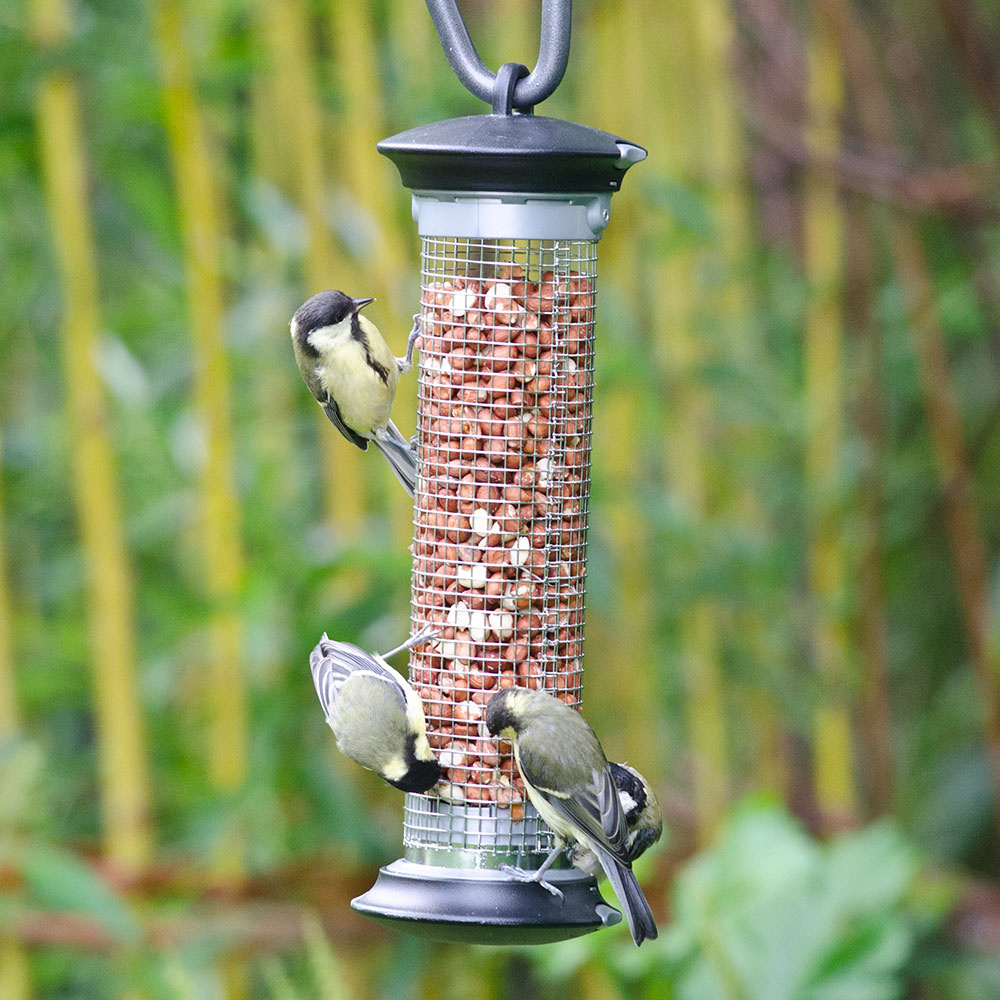 Apollo Bird Seed Feeder Range