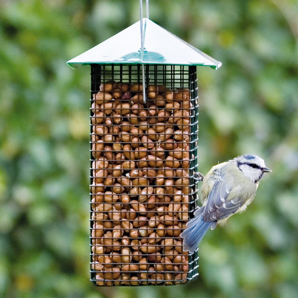 Green Peanut Feeder Cage