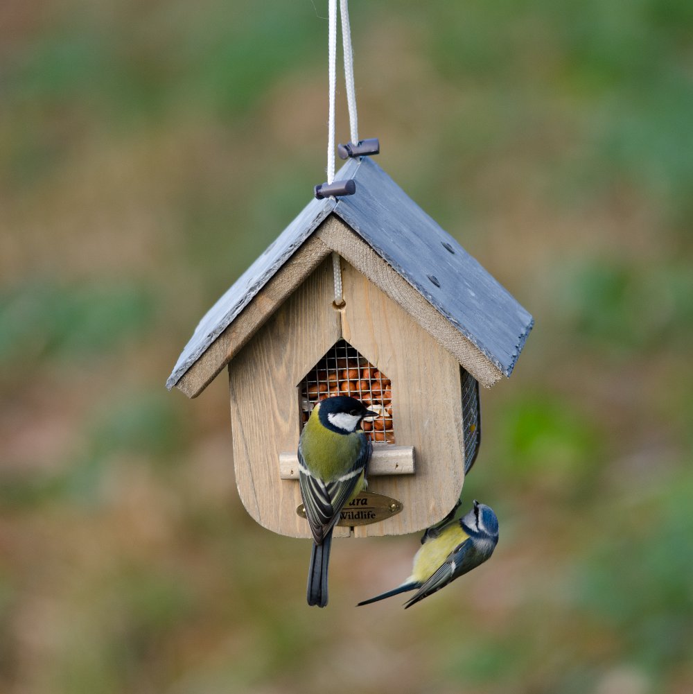 Jupiter Slate Peanut Bird Feeder