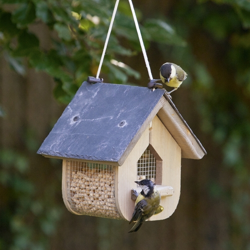 National Trust Jupiter Slate Peanut Feeder