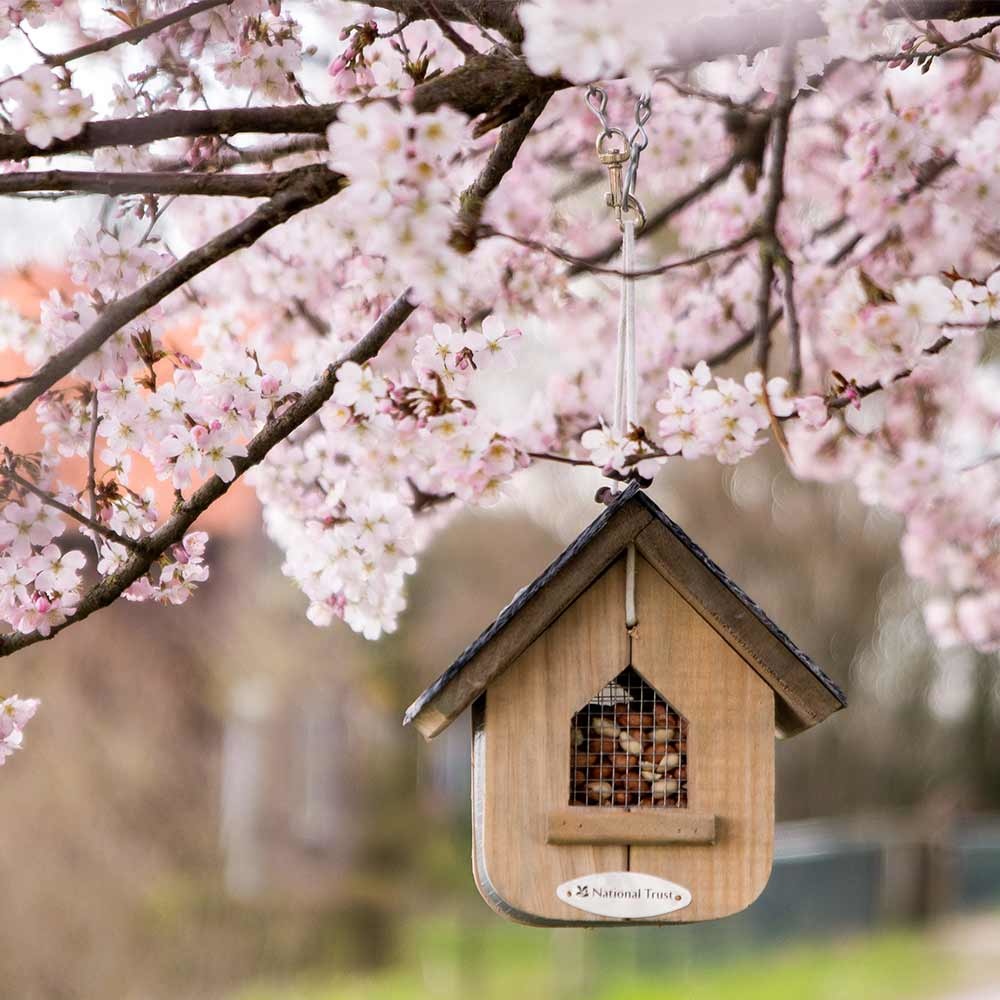 National Trust Jupiter Slate Peanut Feeder