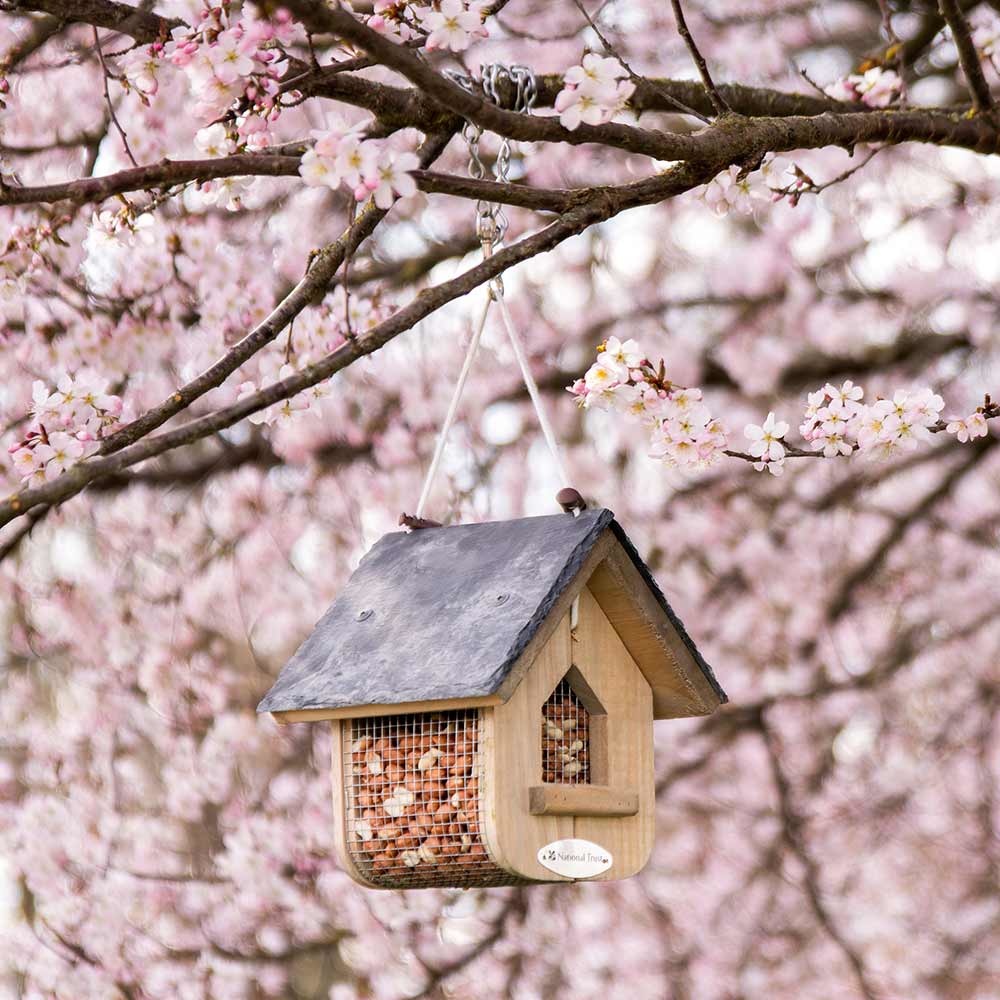 National Trust Jupiter Slate Peanut Feeder