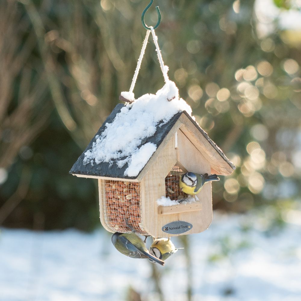 National Trust Jupiter Slate Peanut Feeder