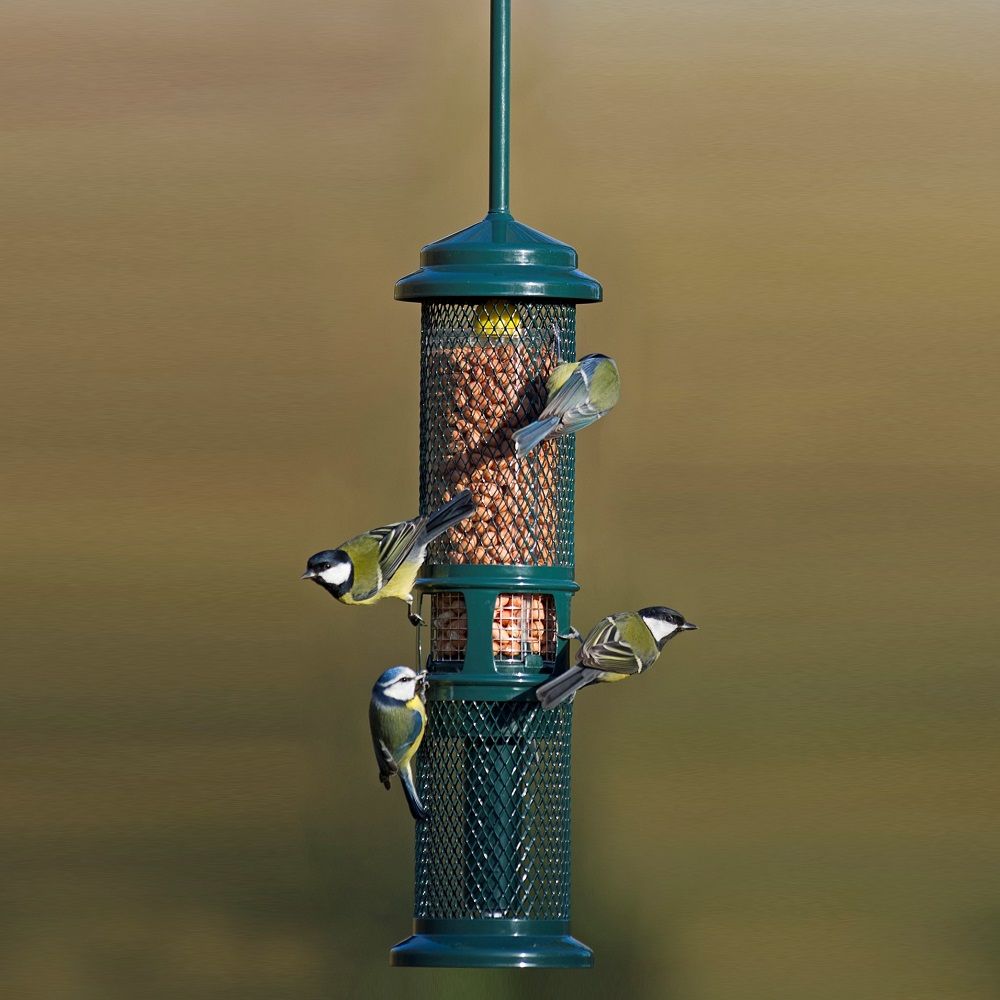 Squirrel Buster Peanut Feeder 750ml