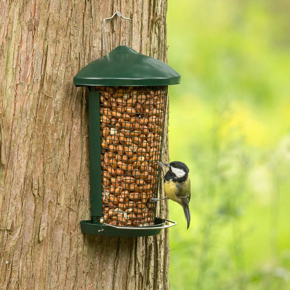 Delta Peanut/Pellet Bird Feeder