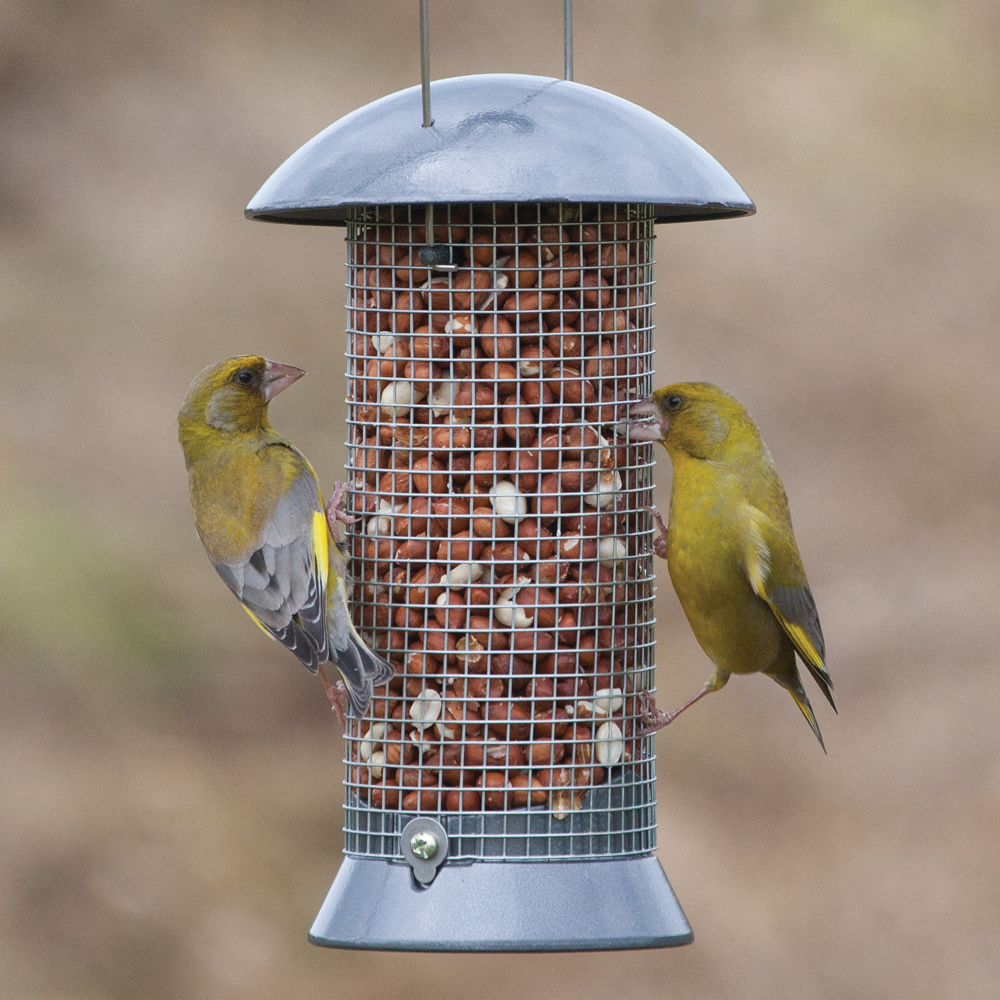 Adventurer Peanut Feeder