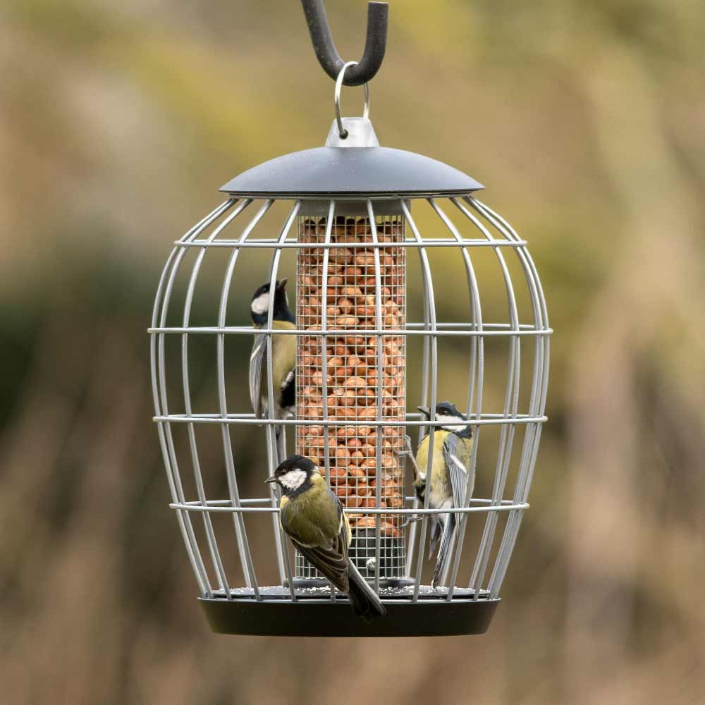 National Trust Aura Peanut Guardian Feeder