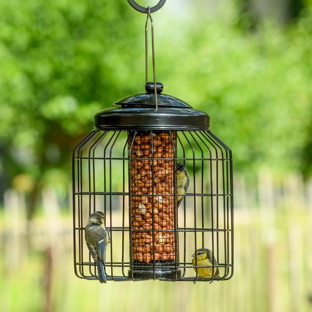 Schutz-Erdnusssäule für kleine Vögel „Brüssel“