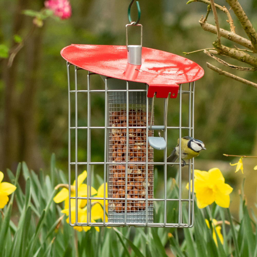 The Red Compact Roundhouse Peanut Feeder