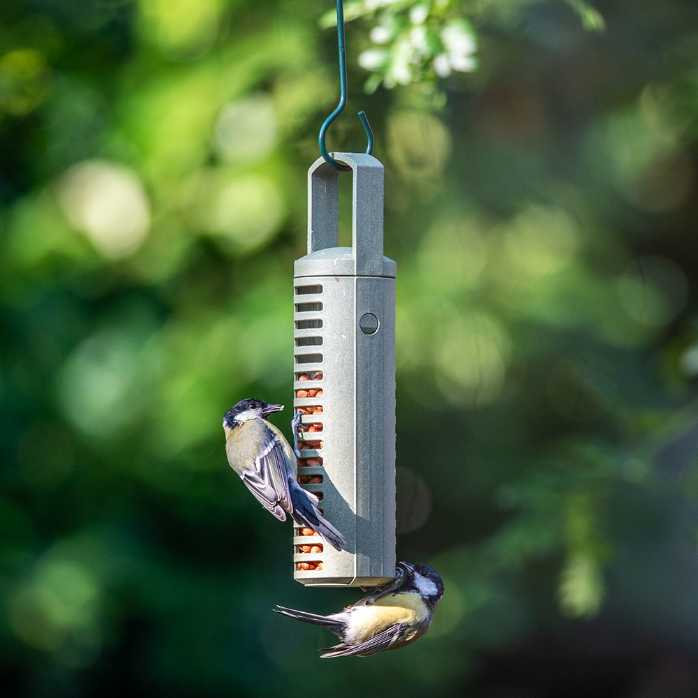 100% Recycled Plastic SingingFriend Peanut Feeder