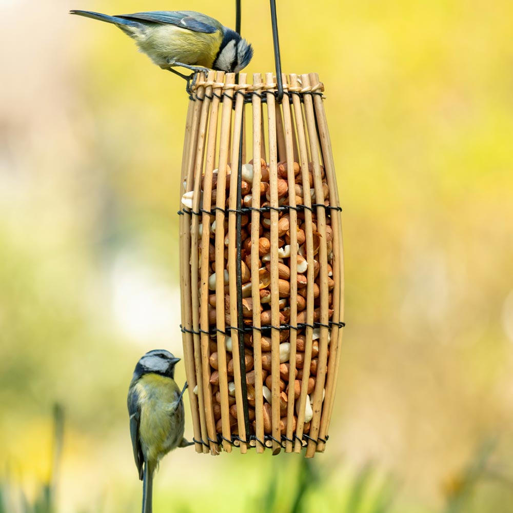 Nyah Peanut Feeder