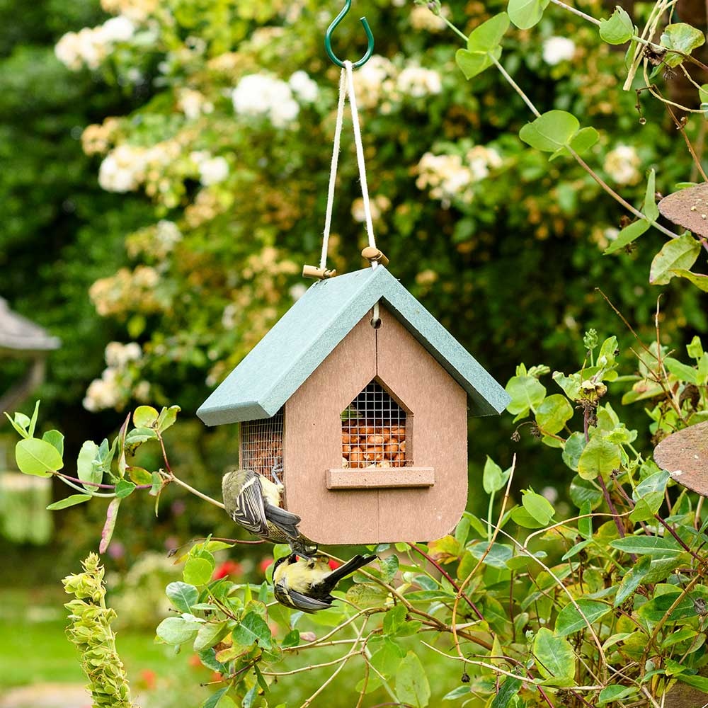 Miletto Recycled Peanut & Suet Bird Feeder