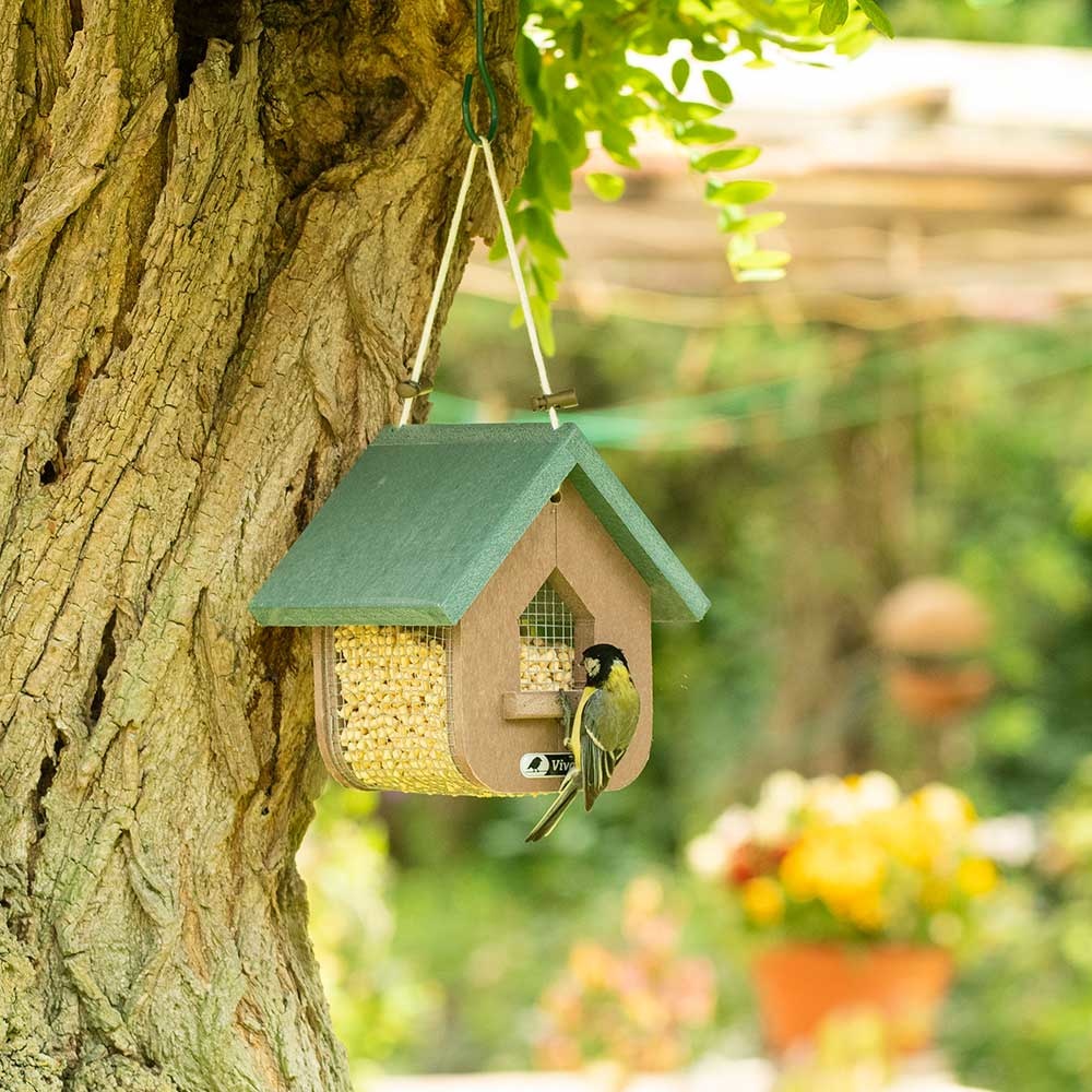 Miletto Recycled Peanut & Suet Bird Feeder