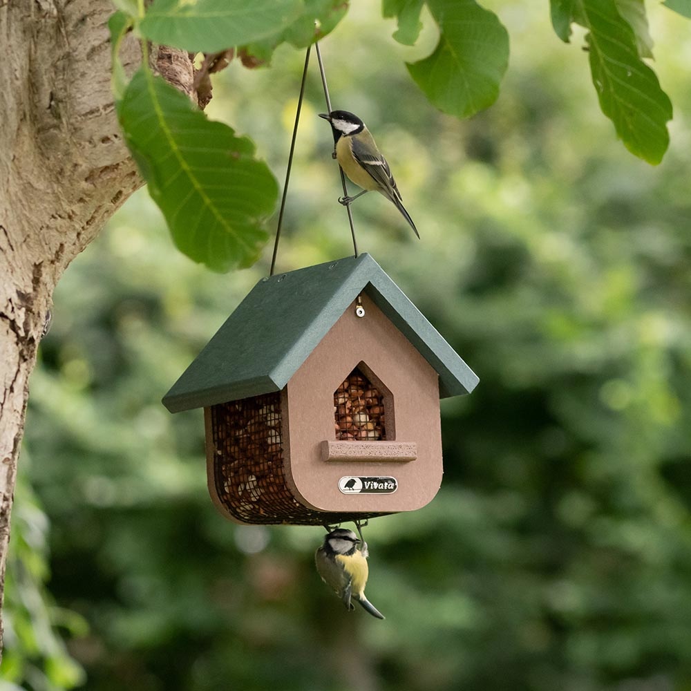 Miletto Recycled Peanut & Suet Bird Feeder