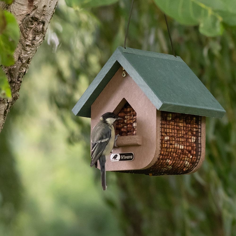 Miletto Recycled Peanut & Suet Bird Feeder