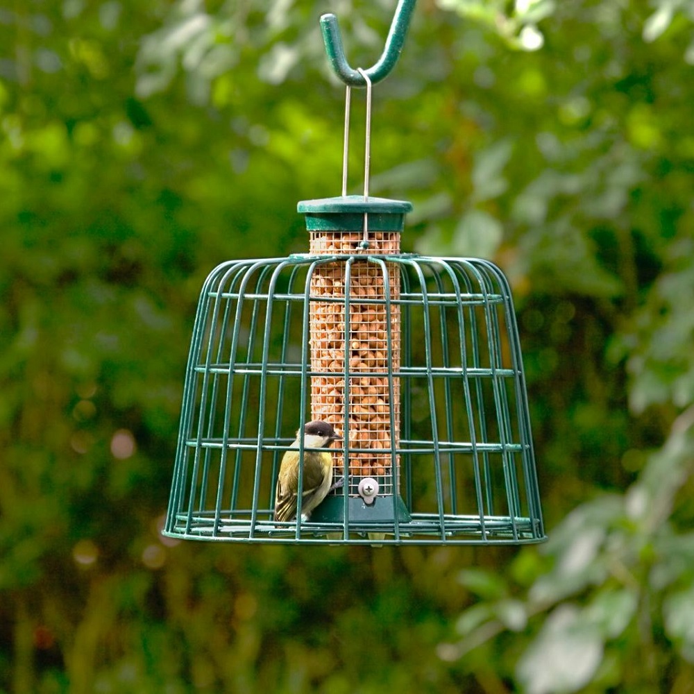 Small Defender Peanut Bird Feeder with Guardian