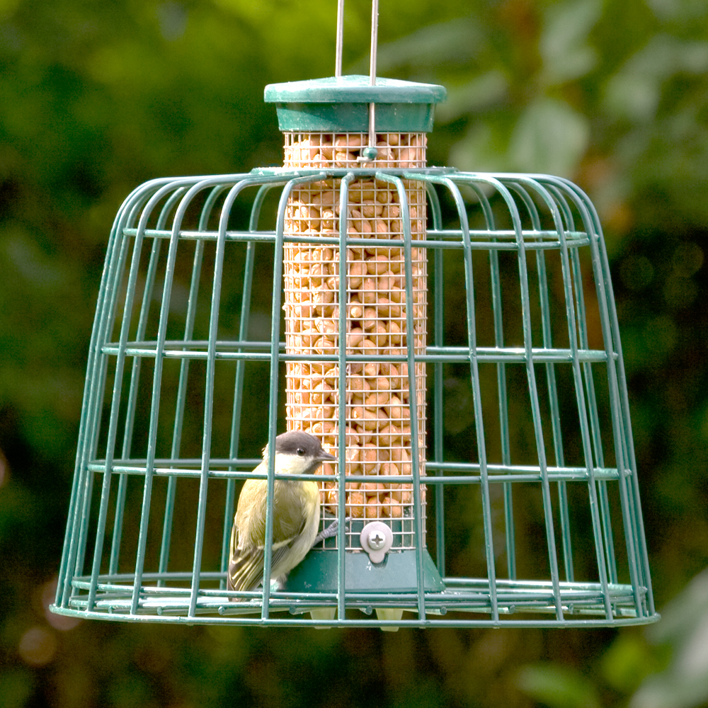 Small Defender Peanut Bird Feeder with Guardian