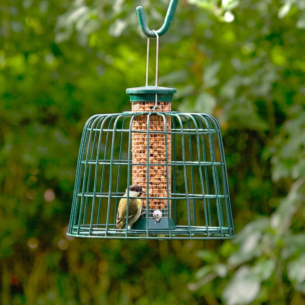 Small Defender Peanut Bird Feeder with Guardian