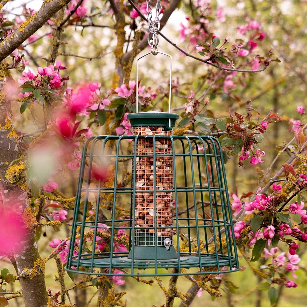 Small Defender Peanut Bird Feeder with Guardian