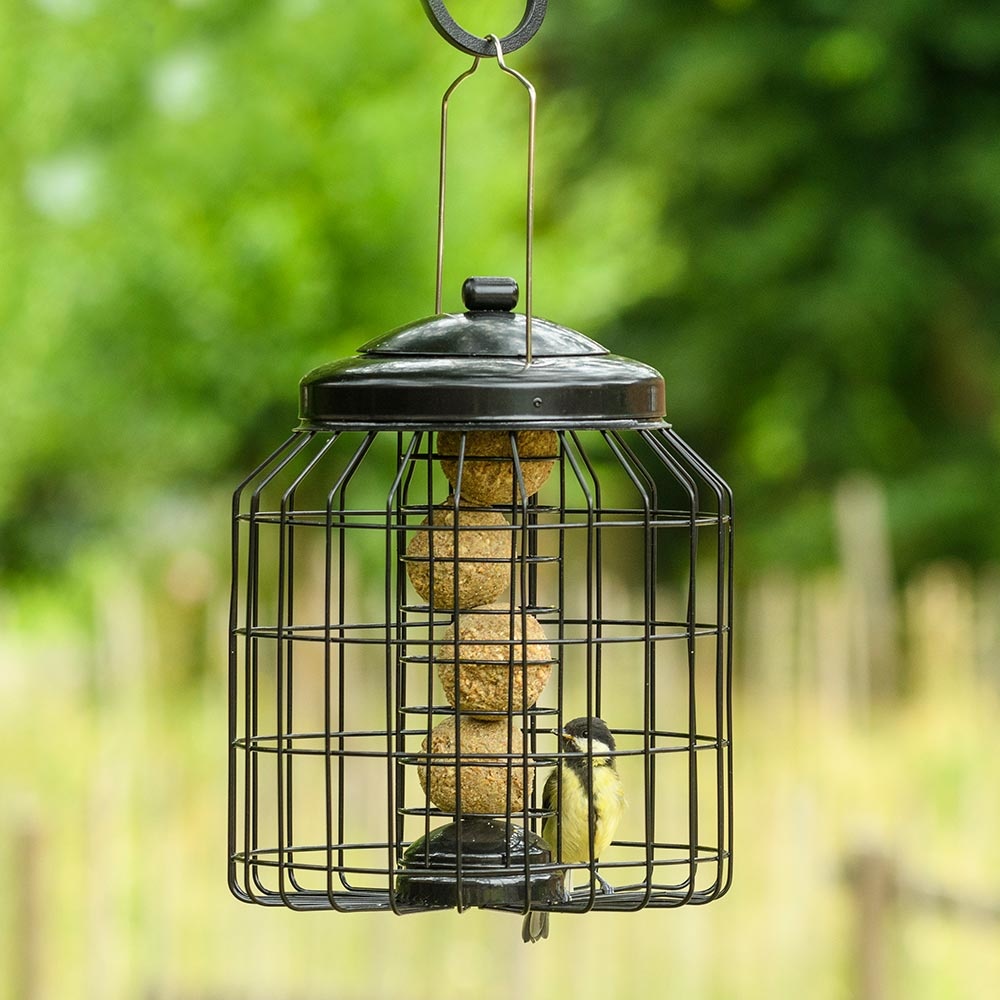 Brussels Bird Feeder Guardians - Bundle of 3