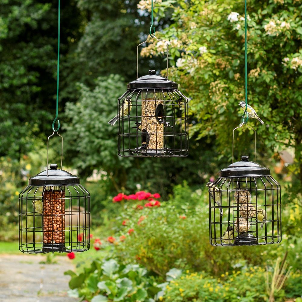 Brussels Bird Feeder Guardians - Bundle of 3